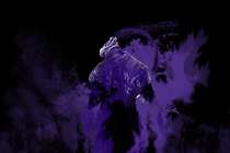 Неиспользованный в Artorias of the Abyss диалог. Неиспользованный в Artorias of the Abyss диалог.